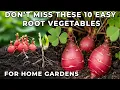 Lagu Don’t Miss These 10 Easy Root Vegetables for Home Gardens