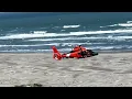 Dog Seals and Coasties A Cute Story