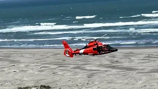 Dog Seals and Coasties A Cute Story