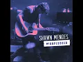 Stitches (MTV Unplugged)