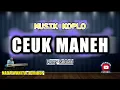 Download Lagu CEUK MANEH KARAOKE - RENY SEBLAK