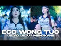 Lagu DJ EGO WONG TUO || ALA KERI KERI || SEPERTI BONGOBARBAR || free flm
