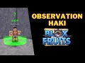 How To Get Observation Haki in Blox Fruits Observation Haki Blox Fruits