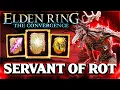 The Servant of Rot BREAKS the Elden Ring Convergence mod