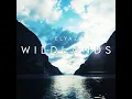 Wildlands - ELYAZ