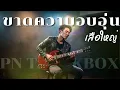 ขาดความอบอุ่น - เสือใหญ่ | Cover By [ PN TrackBox ]