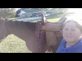 Corriente Ranch Saddle Review