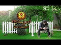 Download Lagu Steven Jam - Terhianati (Official Lyric Video)