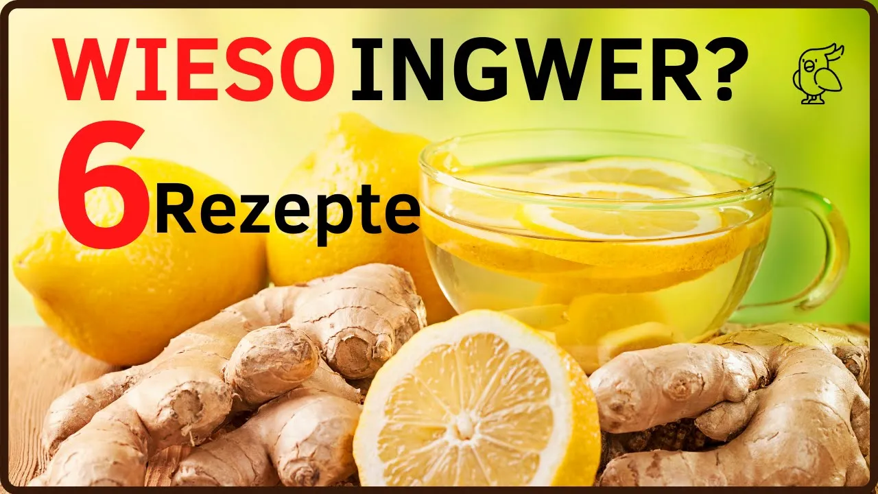 Rauchen verursacht viele unterschiedliche Beschwerden und Krankheiten. 90% der Fälle von Lungenkrebs. 