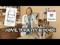 How much Advil will kill your dog Ibuprofen Toxicity in dogs