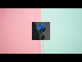 Raissa Ramadhani - Tak Bisa Gantikannya | Lirik