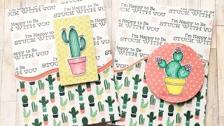 MFT Sweet Succulent Stamped Sentiment Background One Stamp Bonanza Card Series Set