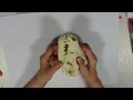 Herbivore and Carnivore Skulls and Dentition