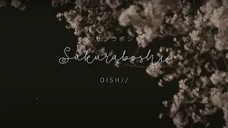 Download DISH// - Sakuraboshi 「サクラボシ」(Kan/Rom/Eng Lyrics) MP3