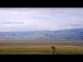 National Museum of Wildlife Art - Live Elk Refuge