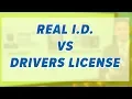 Difference Between Driver s License and Real I D