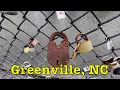 Would you visit or move to Greenville NC Main Street America