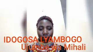 idogosa lyambogo ujumbe wa mihali by n recods