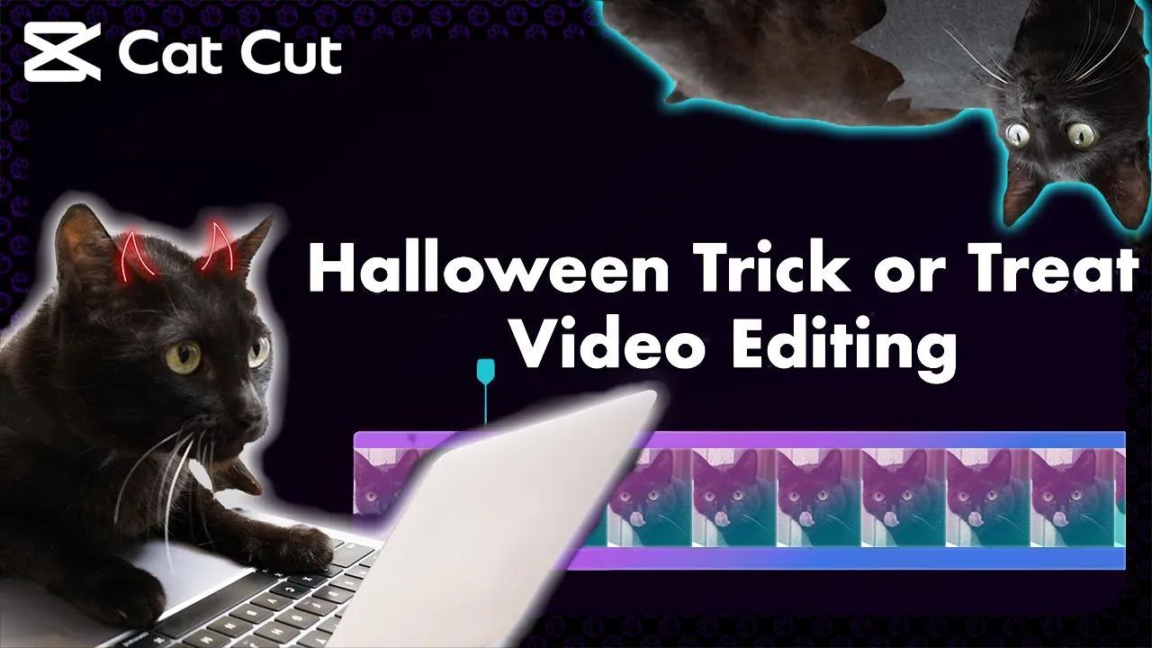 Halloween Black Cat Edits Trick or Treat Video Using CapCut! | CatCut | CapCut