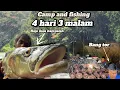 Download Lagu 4 hari 3 malam camping dan mencari ikan bersama bang tor ,camp and fishing cooking @KangAnua 