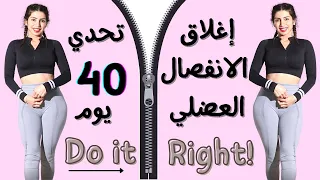 شد ترهلات البطن العنيدة تحدي اغلاق الانفصال 40 يوم ت BUSYFIT Diastasis 