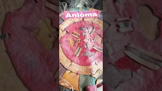 old school chief zebrudaya alias 430 audio pt2
