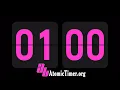 1 Minute Timer - 60 Seconds Timer