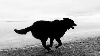 Thanksgiving – Baja or Bust 22