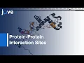 Identifying Protein-Protein Interaction Sites Using Peptide Arrays l Protocol
