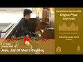 J. S. Bach: Cantata BWV 147 Jesu, Joy Of Man's Desiring | Instrumentalia Organ Pipa