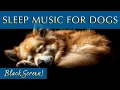 Download Lagu Black Screen Sleep Music for Dogs and Humans 💙 Healing 528Hz