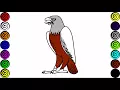 Coloring Pages For Kids - Eagle Coloring Pages
