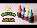 Where Do Food Dyes Come From Not as Tasty as They Look