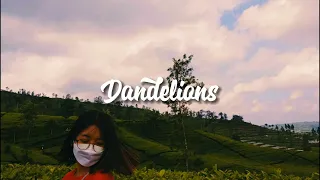 dandelions axsh slowed reverb