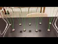Pendulum Wave Demo