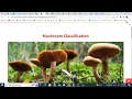 How To Use The Mushroom Classification App