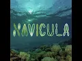 Download Lagu Navicula A Closer Look at the Tiny Boats of Life