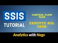 Execute SQL Task Control Flow Tasks in SSIS Tutorial