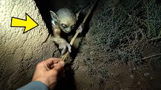 IMPACTANTE⚠️ Lo que grabé en el bosque no tiene ningún sentido Laguna Negra