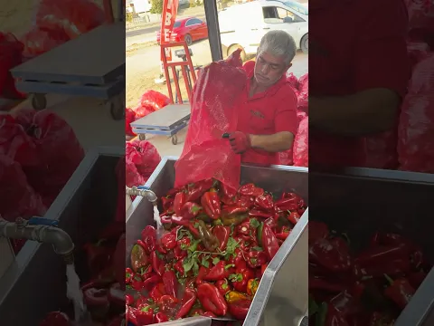 🌶️ İster Biberini Getir Çeksinler, İster Salçalarını Al👍📌 @marsanaturelsalca #salça #biber