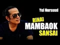 Download Lagu Lagu Minang - Yul Nursuud - Rinai Mambaok Sansai ( Official Music Video ) MV