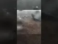 Terrifying Close Call Ring Camera Captures Tornado Tear Backyard Moments After Dog Brought In