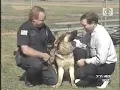 Download Perro policia ataca a presentador mp4 3gp mp3 videos - waplic