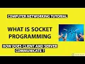 What is Socket Programming Computer Networking Tutorial Interview Questions