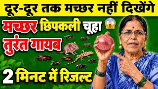 पानी में सिर्फ़ 1 चीज डालते ही 50 साल तक आपके घर में मच्छर नहीं आएंगे😱😱machhar bhagane Ka Tarika /diy
