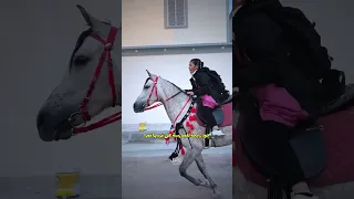 جود بنت رائد طفله راحت للمدرسة على الخيل اكثر من 20 مليون مشاهده ع تكتوك وانستا فرس اصغر خياله 