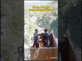 Download Lagu Resto Tepi Sungai di Ciwidey, kulineran sunda nikmat di tepi sungai #kuliner