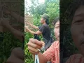 Download Lagu Sepicial pikat kacer negri ratu sumatra