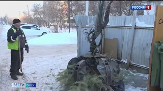 Новогодние елочки в Омске пустят на переработку