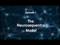 Stress Trauma and the Brain Insights for Educators--The Neurosequential Model